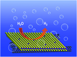 Graphical abstract: Unravelling the synergy effects of defect-rich 1T-MoS2/carbon nanotubes for the hydrogen evolution reaction by experimental and calculational studies