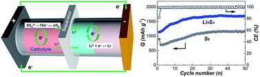 Graphical abstract: Effect of soluble sulfur species on the electrochemical behavior of lithium–sulfur batteries with dual-phase electrolytes