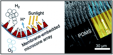 Graphical abstract: Integration of electrocatalysts with silicon microcone arrays for minimization of optical and overpotential losses during sunlight-driven hydrogen evolution