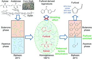 Graphical abstract: Enhanced furfural production from biomass and its derived carbohydrates in the renewable butanone–water solvent system