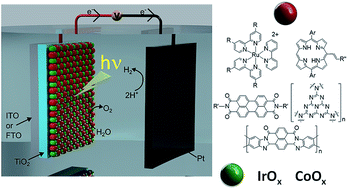 Graphical abstract: Hybrid photoanodes for water oxidation combining a molecular photosensitizer with a metal oxide oxygen-evolving catalyst