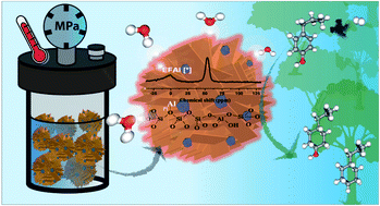 Graphical abstract: Stability of monometallic Pt and Ru supported on hierarchical HZSM-5 nanosheets for hydrodeoxygenation of lignin-derived compounds in the aqueous phase