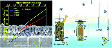 Graphical abstract: Fe and W doped Bi2MoO6 nanoflakes: a promising material for efficient solar water splitting