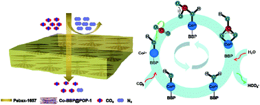 Graphical abstract: Bioinspired porous organic polymer-functionalized membranes for efficient CO2 capture