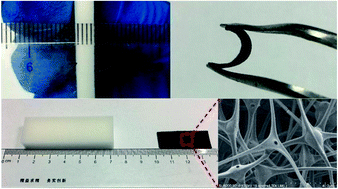 Graphical abstract: A hollow neuronal carbon skeleton with ultrahigh pyridinic N content as a self-supporting potassium-ion battery anode