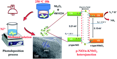 Graphical abstract: Preparation of a NiO/KNbO3 nanocomposite via a photodeposition method and its superior performance in photocatalytic N2 fixation