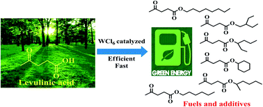 Graphical abstract: Fast and efficient upgrading of levulinic acid into long-chain alkyl levulinate fuel additives with a tungsten salt catalyst at low temperature
