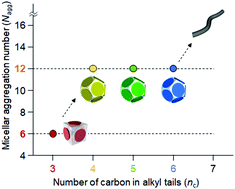 Graphical abstract: Non-dependence of dodecamer structures on alkyl chain length in Platonic micelles