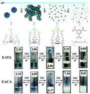 Graphical abstract: Study on the effect of the organic acid structure on the rheological behavior and aggregate transformation of a pH-responsive wormlike micelle system