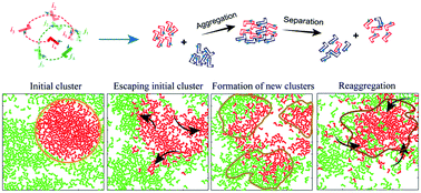 Graphical abstract: Collective oscillation in dense suspension of self-propelled chiral rods