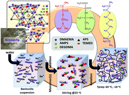 Graphical abstract: A versatile strategy for mechanically durable nanocomposite cryogels based on cationic (alkyl)methacrylates and hydrophilic bentonite via freezing (cryo)polymerization