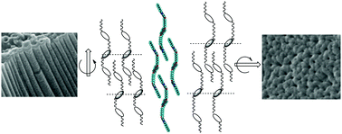 Graphical abstract: Linear symmetric liquid crystal trimers exhibiting supramolecular chiral architectures