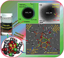 Graphical abstract: Natural rubber–SiO2 nanohybrids: interface structures and dynamics