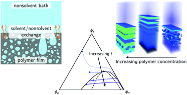 Graphical abstract: Mass-transfer driven spinodal decomposition in a ternary polymer solution