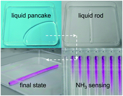 Graphical abstract: Rod-shaped liquid plasticine for gas diffusion detection