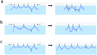 Graphical abstract: Probing the adsorption/desorption of amphiphilic polymers at the air–water interface during large interfacial deformations