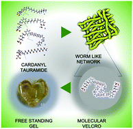 Graphical abstract: Freestanding organogels by molecular velcro of unsaturated amphiphiles