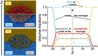 Graphical abstract: Amphiphilic microgels adsorbed at oil–water interfaces as mixers of two immiscible liquids