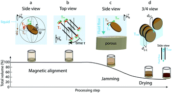 Graphical abstract: Design of textured multi-layered structures via magnetically assisted slip casting