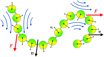 Graphical abstract: Active Brownian filaments with hydrodynamic interactions: conformations and dynamics