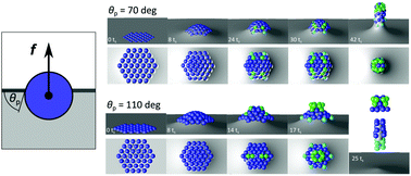 Graphical abstract: Particle clusters at fluid–fluid interfaces: equilibrium profiles, structural mechanics and stability against detachment