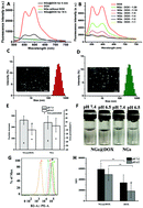 Graphical abstract: ATP responsive DNA nanogels grown on biocompatible branches for anticancer drug delivery