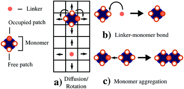Graphical abstract: Optimal number of linkers per monomer in linker-mediated aggregation