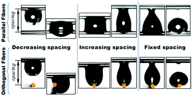 Graphical abstract: Competing forces on a liquid bridge between parallel and orthogonal dissimilar fibers