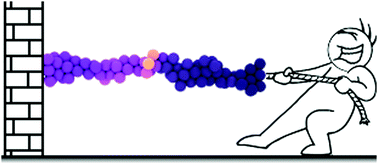 Graphical abstract: Plasticity in colloidal gel strands