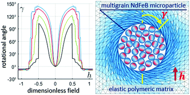 Graphical abstract: Modeling the magnetomechanical behavior of a multigrain magnetic particle in an elastic environment