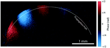 Graphical abstract: Towards mechanical characterization of granular biofilms by optical coherence elastography measurements of circumferential elastic waves