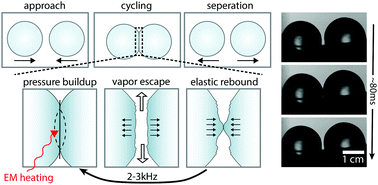 Graphical abstract: Microwave induced mechanical activation of hydrogel dimers