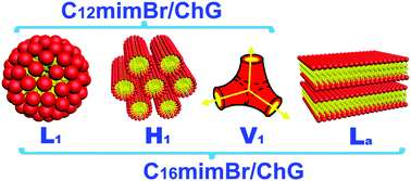 Graphical abstract: Molecular packing of surface active ionic liquids in a deep eutectic solvent: a small angle X-ray scattering (SAXS) study