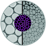 Graphical abstract: The role of deformability in determining the structural and mechanical properties of bubbles and emulsions