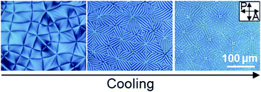 Graphical abstract: Topological defects and geometric memory across the nematic–smectic A liquid crystal phase transition