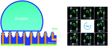 Graphical abstract: Droplet manipulation with polarity-dependent low-voltage electrowetting on an open slippery liquid infused porous surface