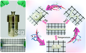Graphical abstract: High strength hydrogels with multiple shape-memory ability based on hydrophobic and electrostatic interactions
