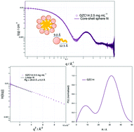 Graphical abstract: Solution structure of linear battacin lipopeptides – the effect of lengthening fatty acid chain