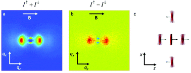 Graphical abstract: Evolution of nematic and ferromagnetic ordering in suspensions of magnetic nanoplatelets