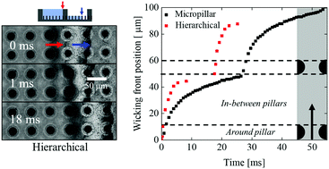 Graphical abstract: Micropattern-controlled wicking enhancement in hierarchical micro/nanostructures