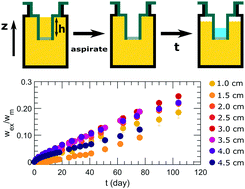 Graphical abstract: Gravity-driven syneresis in model low-fat mayonnaise