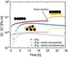 Graphical abstract: Transient measurement and structure analysis of protein–polysaccharide multilayers at fluid interfaces