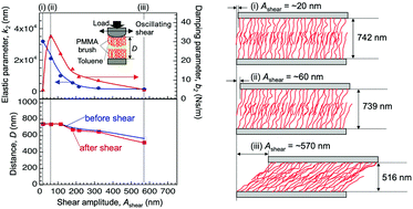 Graphical abstract: Dynamics of lubricious, concentrated PMMA brush layers studied by surface forces and resonance shear measurements