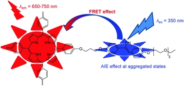 Graphical abstract: A first porphyrin liquid crystal with strong fluorescence in both solution and aggregated states based on the AIE-FRET effect