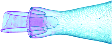 Graphical abstract: Dynamic wrinkling of freely floating smectic films