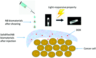 Graphical abstract: One- and two-photon responsive injectable nano-bundle biomaterials from co-assembled lipopeptides for controlling molecular diffusion