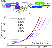 Graphical abstract: Unfolding of polymers tethered to viscoelastic substrates