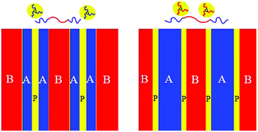 Graphical abstract: Self-assembly of grafted nanoparticles in the lamellar mesophase of a symmetric triblock copolymer