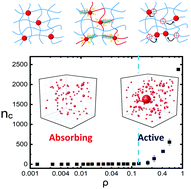 Graphical abstract: Absorbing–active transition in a multi-cellular system regulated by a dynamic force network