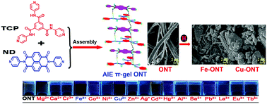 Graphical abstract: A novel supramolecular AIE π-gel for fluorescence detection and separation of metal ions from aqueous solution